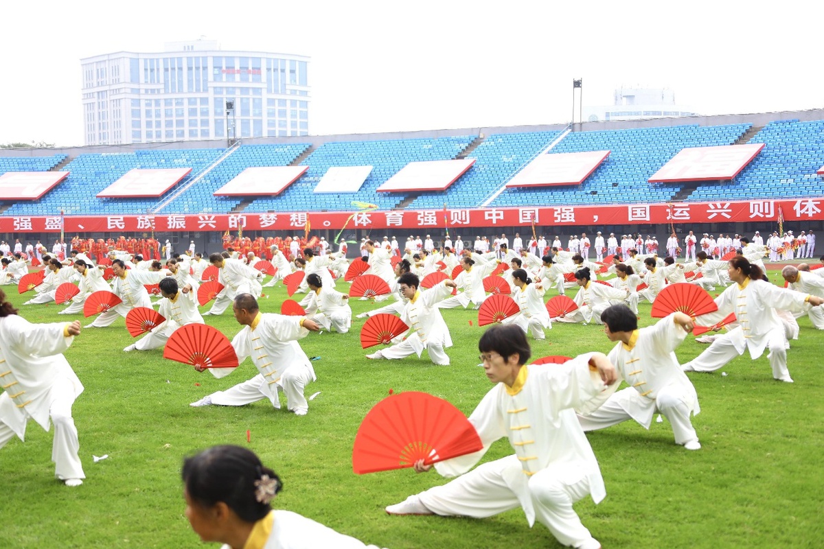 五气连枝丰宜福台2024年丰台区全民健身运动会成功举办(图1)